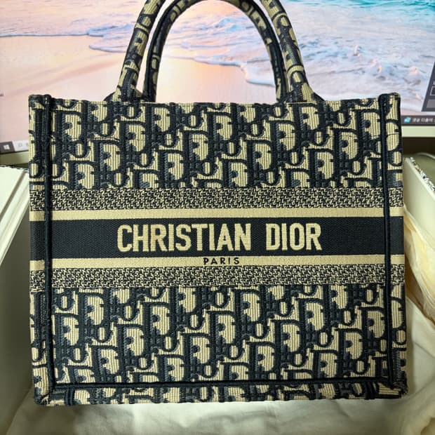 디올 스몰 북 토트백 에크루 블루 오블리크