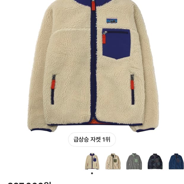 파타고니아 레트로x플리스 지드래곤 자켓