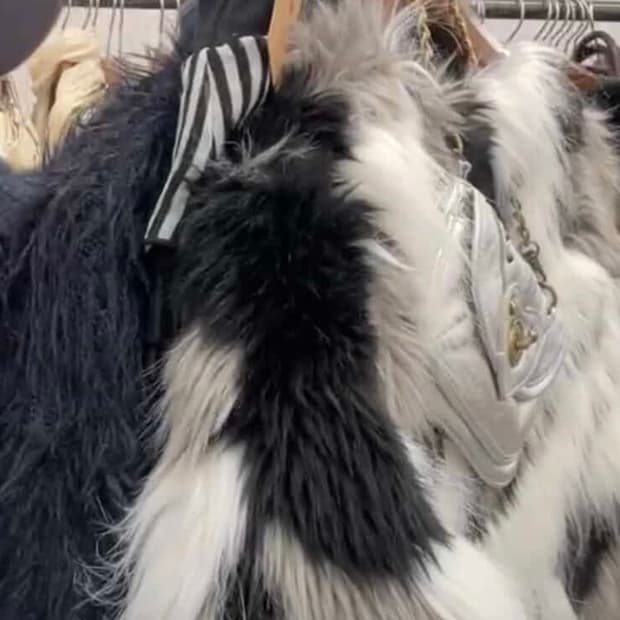 1/1 지브라퍼세트