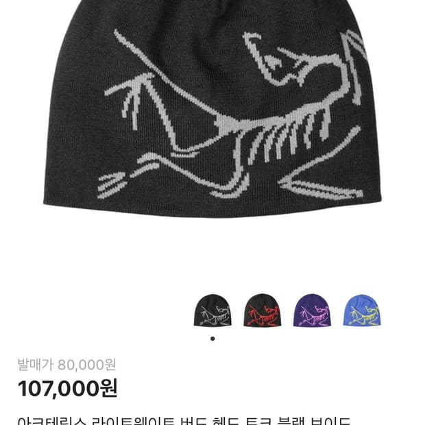 아크테릭스 버드 헤드 토크 비니 