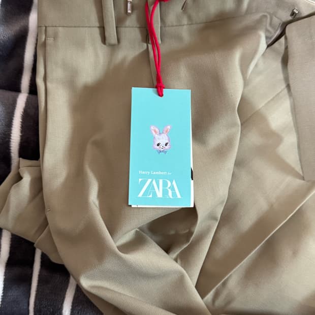 harry lambert x zara