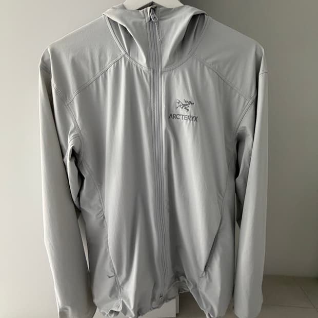 아크테릭스 감마 SL 후디 남성 바람막이