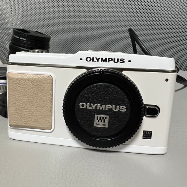 올림푸스 PEN E-p1