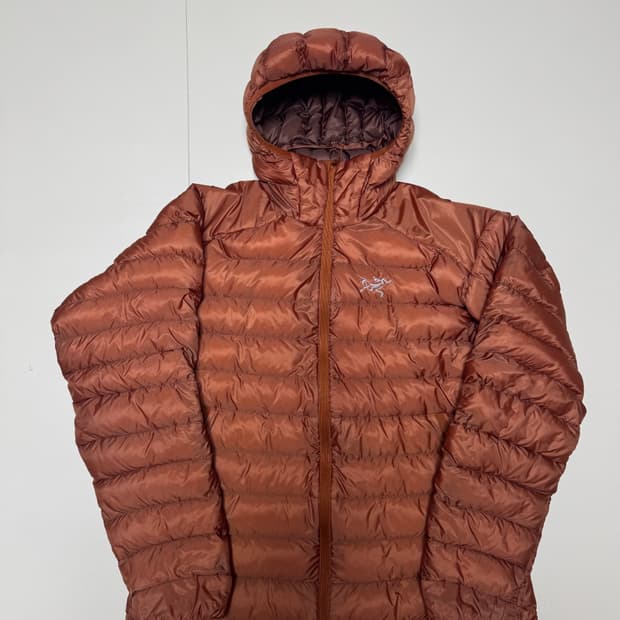 L 아크테릭스 세륨 LT 코모레비 / 후디