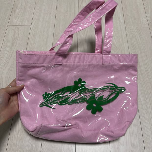 파이시스 해변 가방