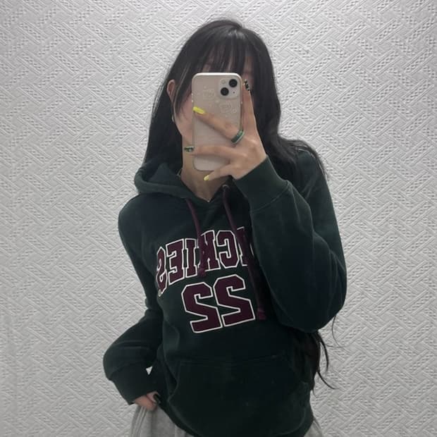 디키즈 빅로고 약기모 후드티 90 C05614