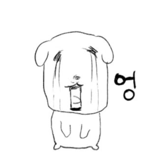 구해요) 오스하이 팝업 대리구매