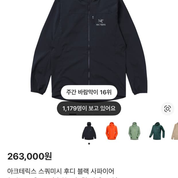 아크테릭스 스쿼미시 블랙사파이어