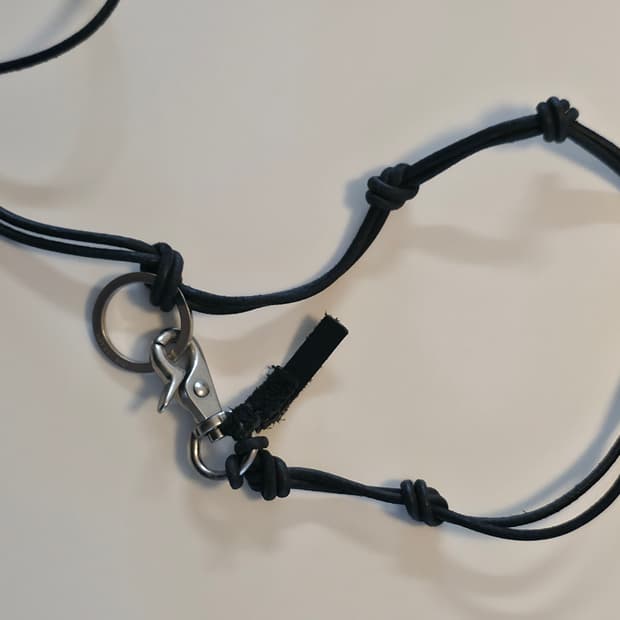 아워레가시 라돈 블랙