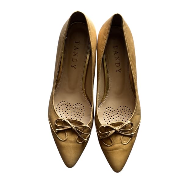 TANDY 리본 디테일 포인티드 토 펌프스 (245)