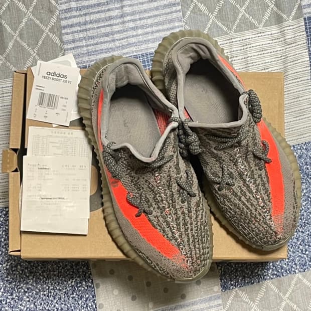 [255]이지부스트 벨루가