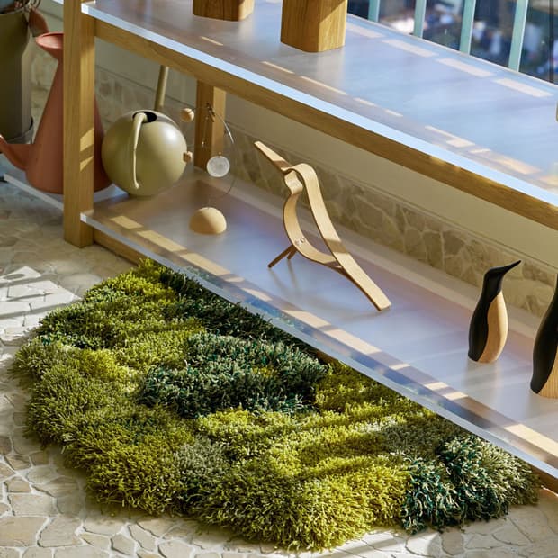 세이투셰 모스러그