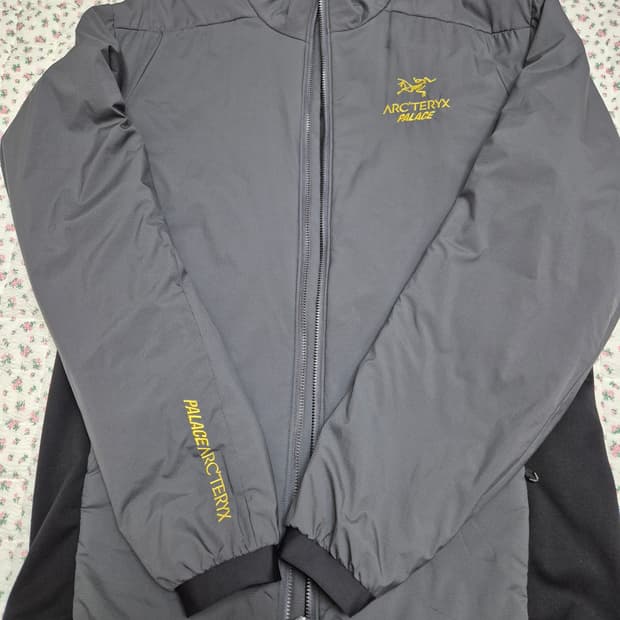 M) 아크테릭스 팔라스 아톰 Lt 자켓