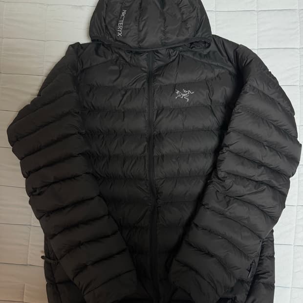 아크테릭스 세륨 L 블랙