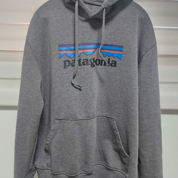 파타고니아 회색 후드티