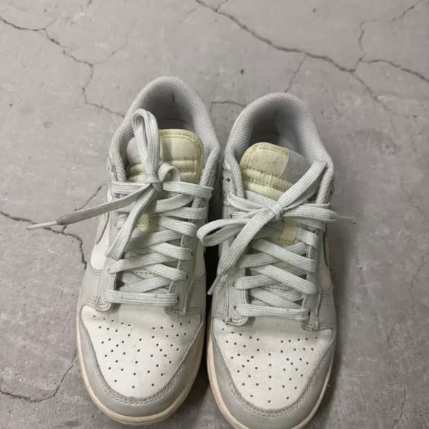 나이키 덩크 로우 라이트본