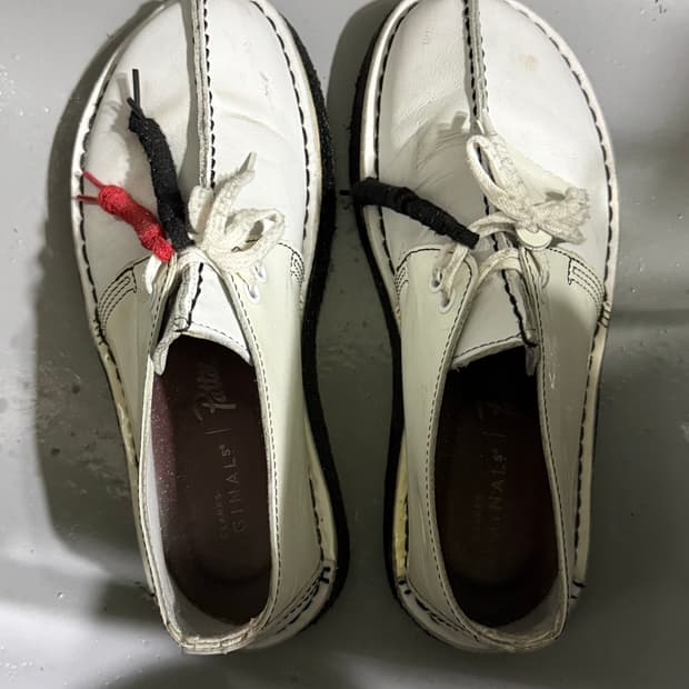 클락스 x 파타 (clarks x patta) 데저트트렉 화이트 255