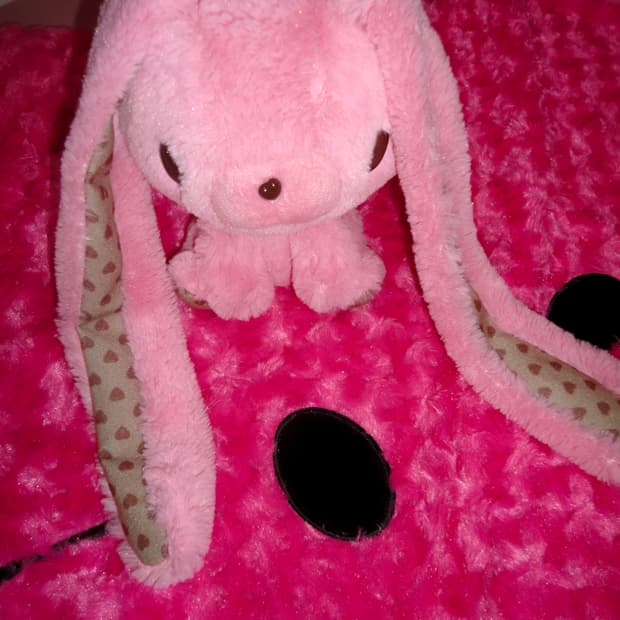 범용토끼 발렌타인