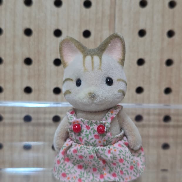 올드 실바니안 줄무늬 고양이 소녀