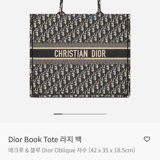디올 오블리크 북토트백 라지