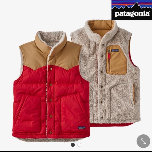 파타고니아 양면 다운 베스트