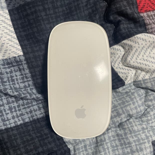 애플 무선 마우스