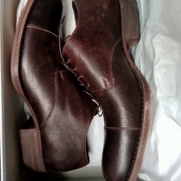 destroyed waxed horse derby 42