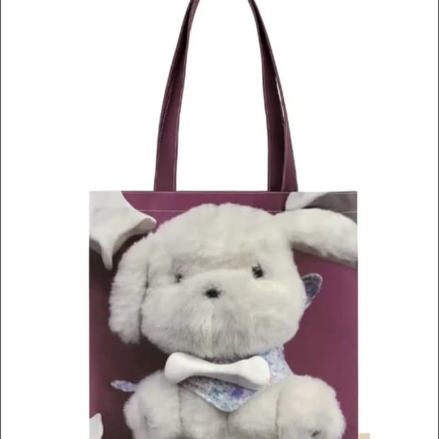 코이세이오 오후가방