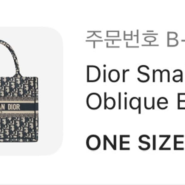 디올 북토트 백 스몰 