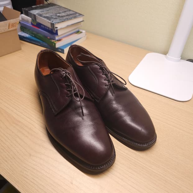 Alden 알든 플레인토 카프스킨 10D