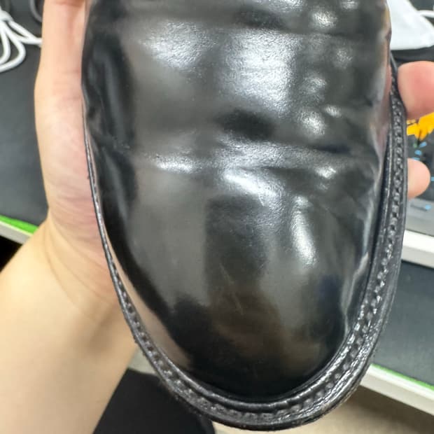 알든 야수의심장인분만8.5d