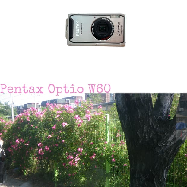 Pentax Optio W60