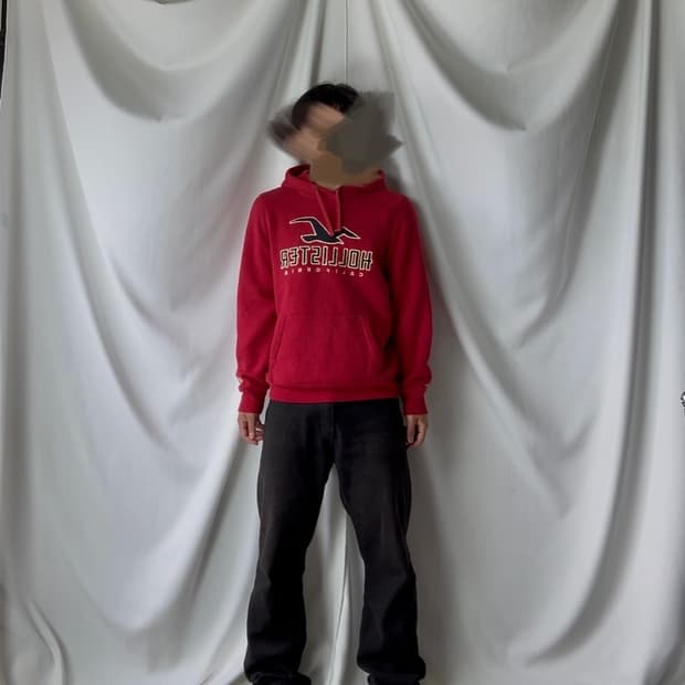 hollister 홀리스터 자수 후드