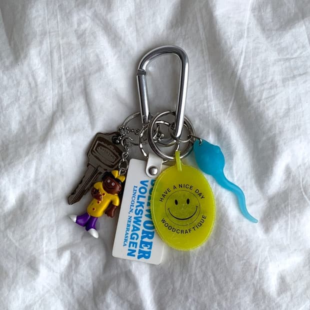🎁Someone's Keyring #285