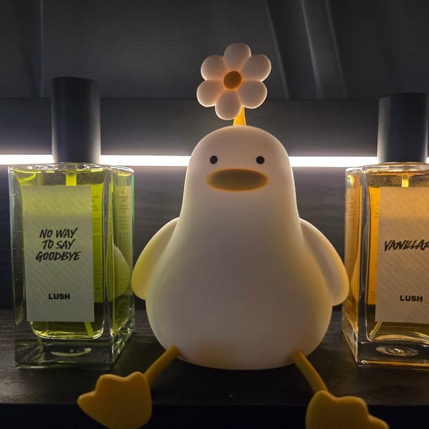 💛 러쉬 향수 일괄판매 💚