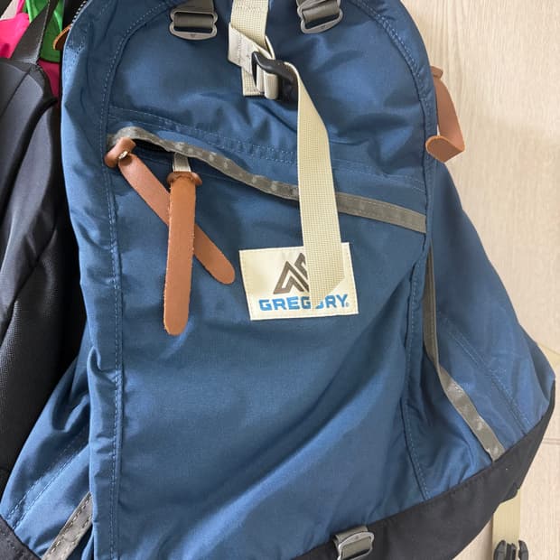 그레고리 디스이즈네버댓 데이백 라이트 네이비