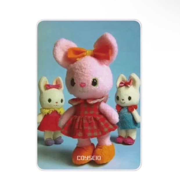 코이세이오 담요