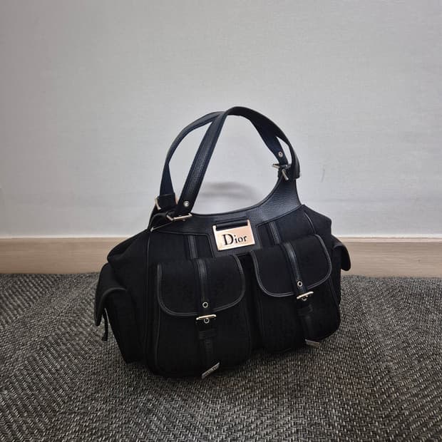 디올 트로터 스크릿시크 숄더백