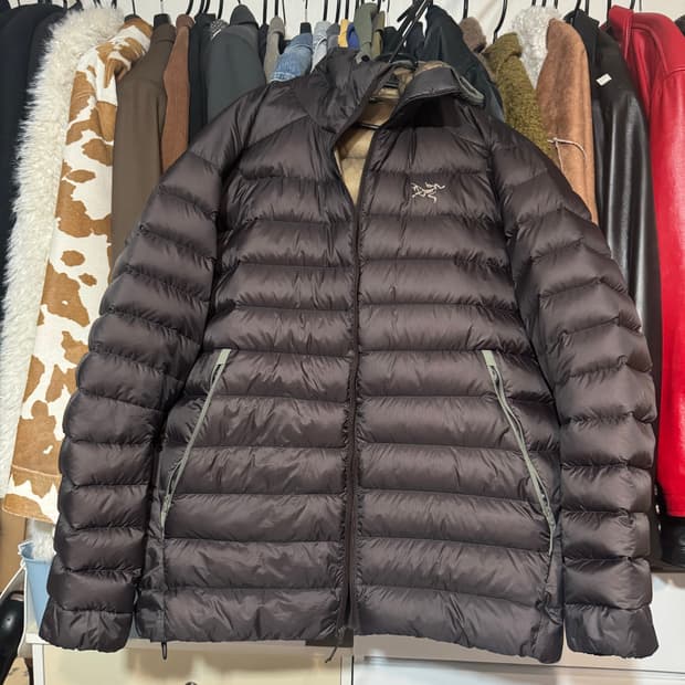 아크테릭스 세륨 후디 L 비터스