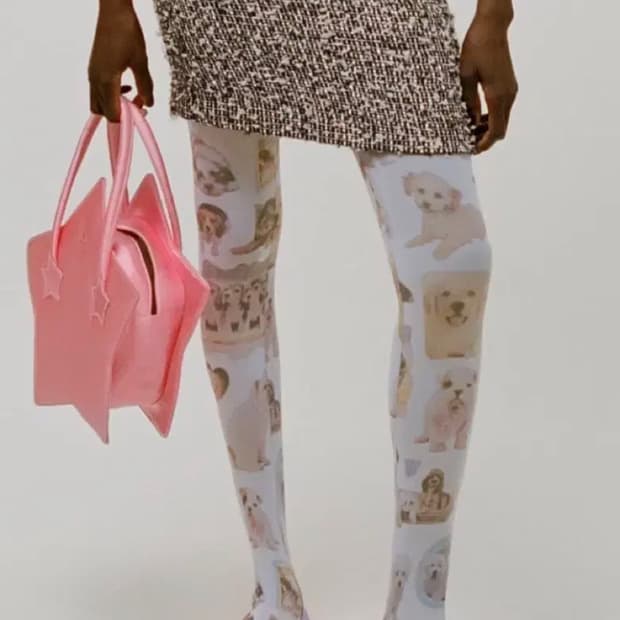 애슐리윌리엄스 캣 스타킹