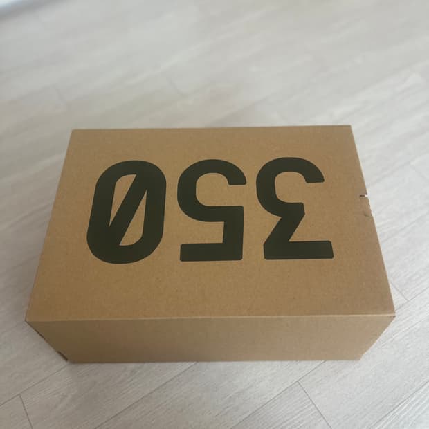 이지 부스트 카본 벨루가 270