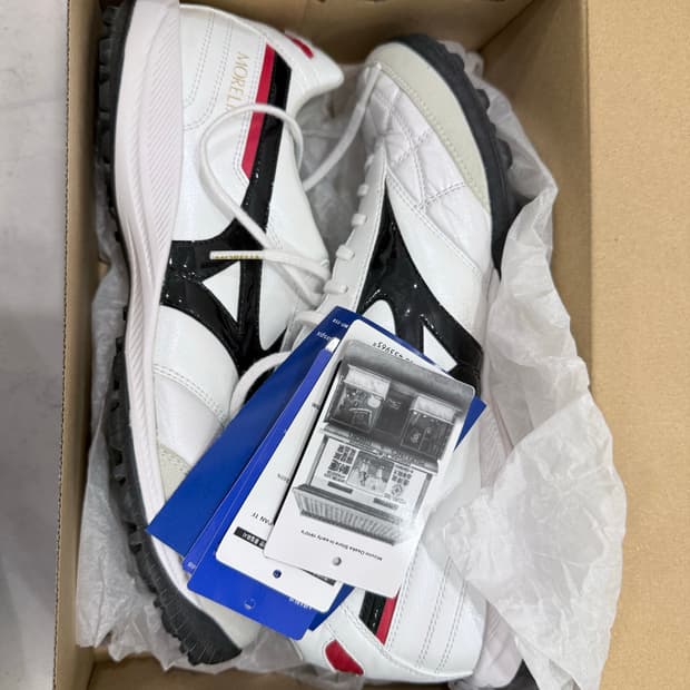 미즈노 모렐리아 살라 재팬 tf 260