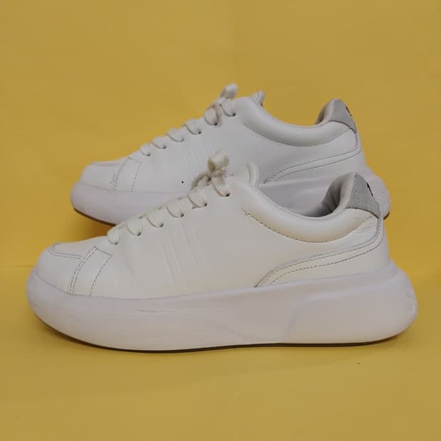 여성 세르지오타키니 1966 코트 스니커즈, 운동화 (250)