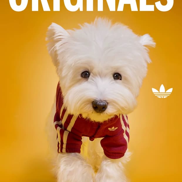 아디다스 강아지 고양이 옷 중티다스
