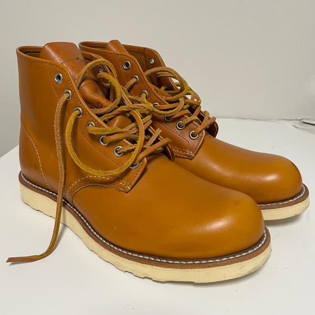 레드윙 9871 아이리쉬세터 265사이즈 판매!