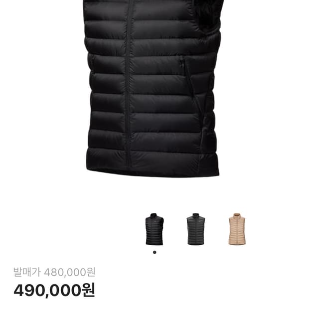 아크테릭스 세륨 베스트 L