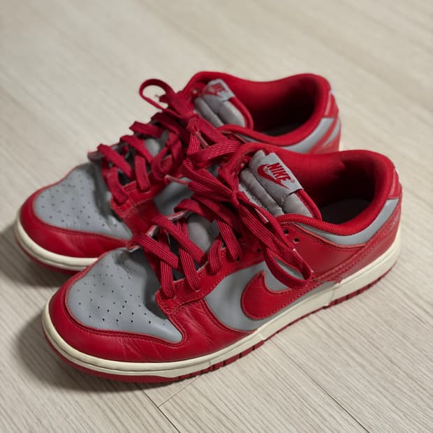 나이키 덩크 로우 회빨