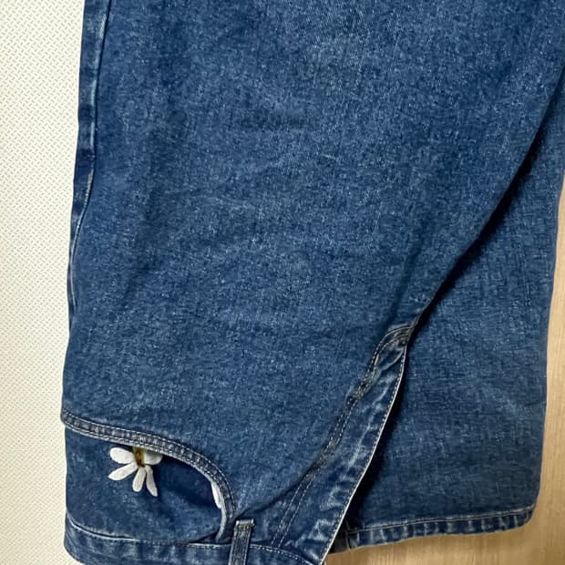 라브로스 데이지진 s