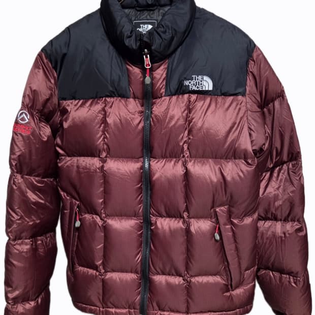 노스페이스 써밋 800 구스다운 패딩