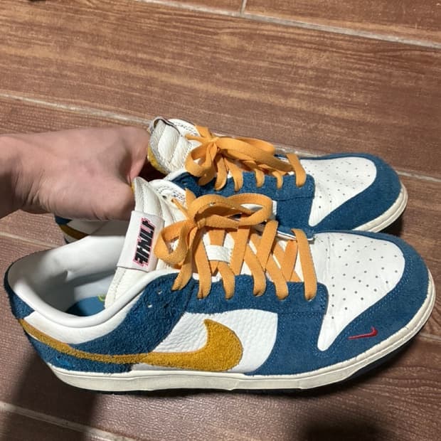 나이키 카시나 덩크 275